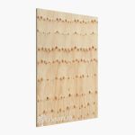 Çam Kontrplak Yerli ve Marin